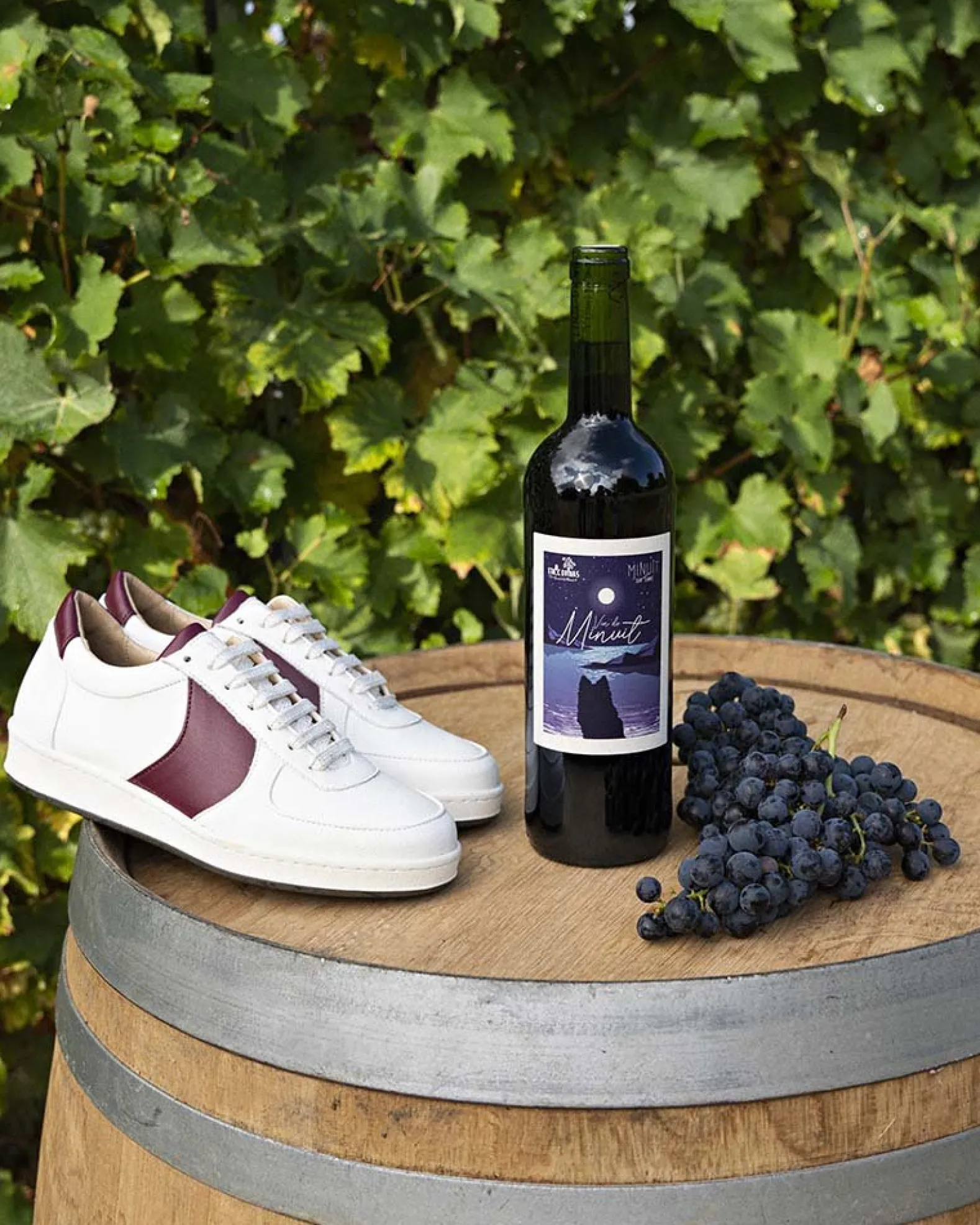 Cépage Merlot